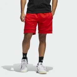 Budget ❤️ Adidas Performance Cross-Up 365 Men’s Shorts for Clothes for Training ❤️